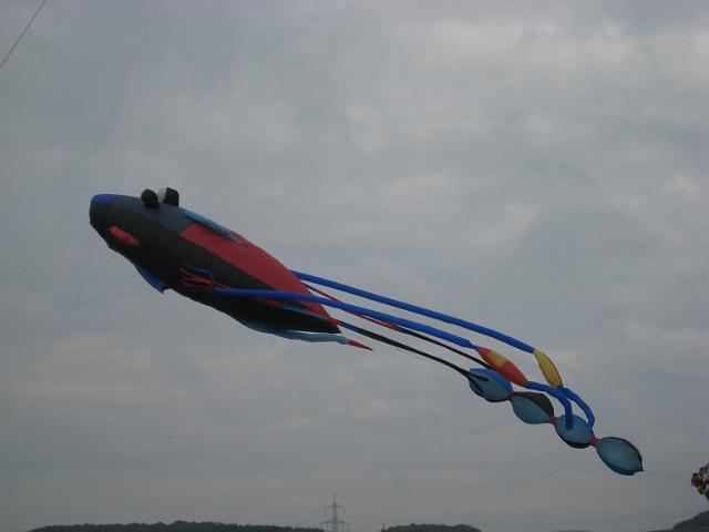 Bebra Bueren (73).jpg